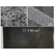 碳布/碳納米管-氮化鈦