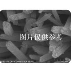 碳布負載二氧化鈦-四氧化三鐵核殼陣列
