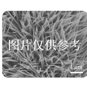 泡沫鎳負(fù)載鈦酸鈷-四氧化三鈷復(fù)合納米管陣...