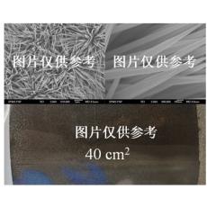 泡沫鎳負載氧化亞鈷納米線陣列