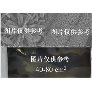 氮摻雜碳包覆二氧化鈦核殼納米桿陣列
